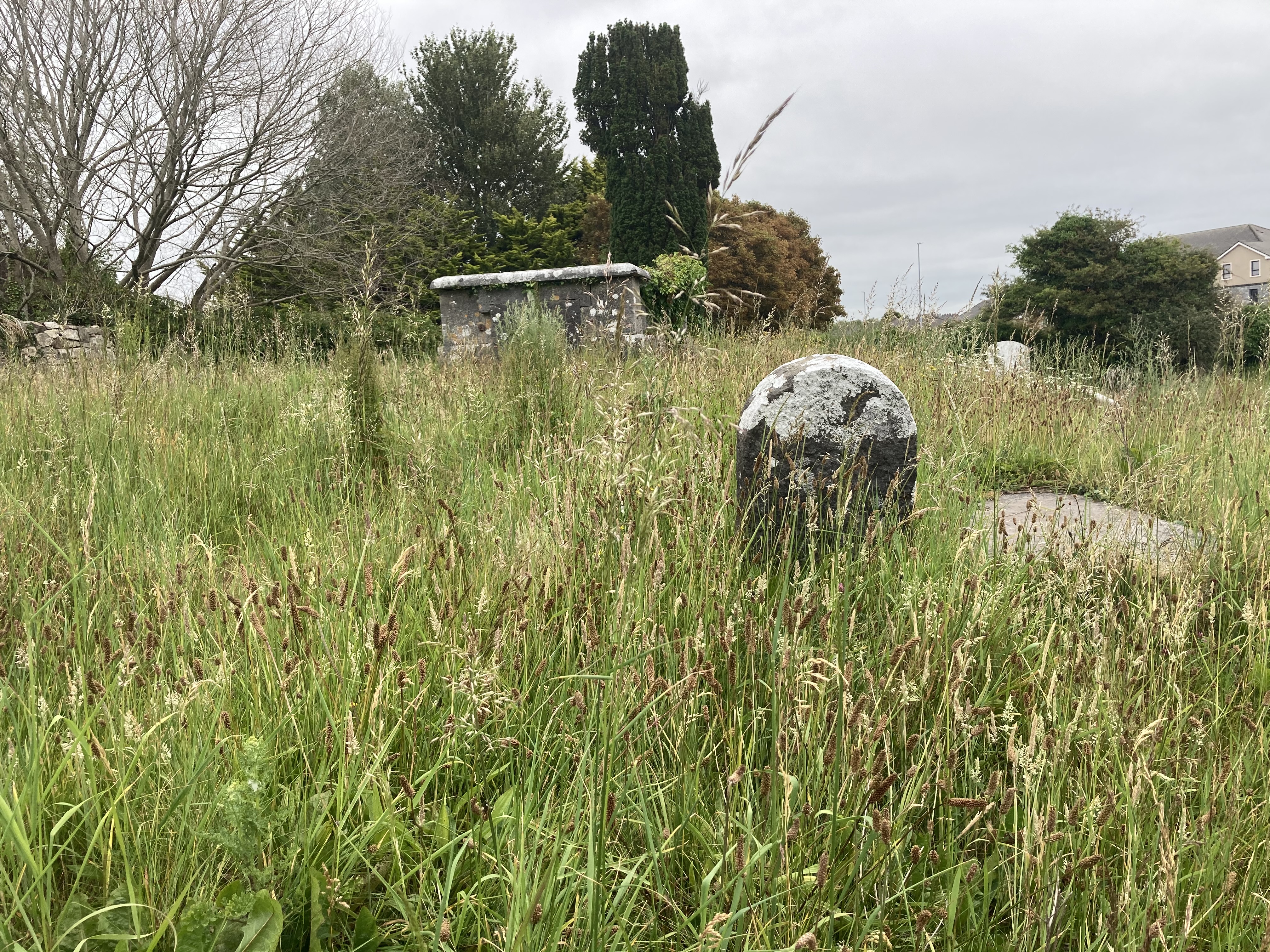 Image of old cemetary headstones