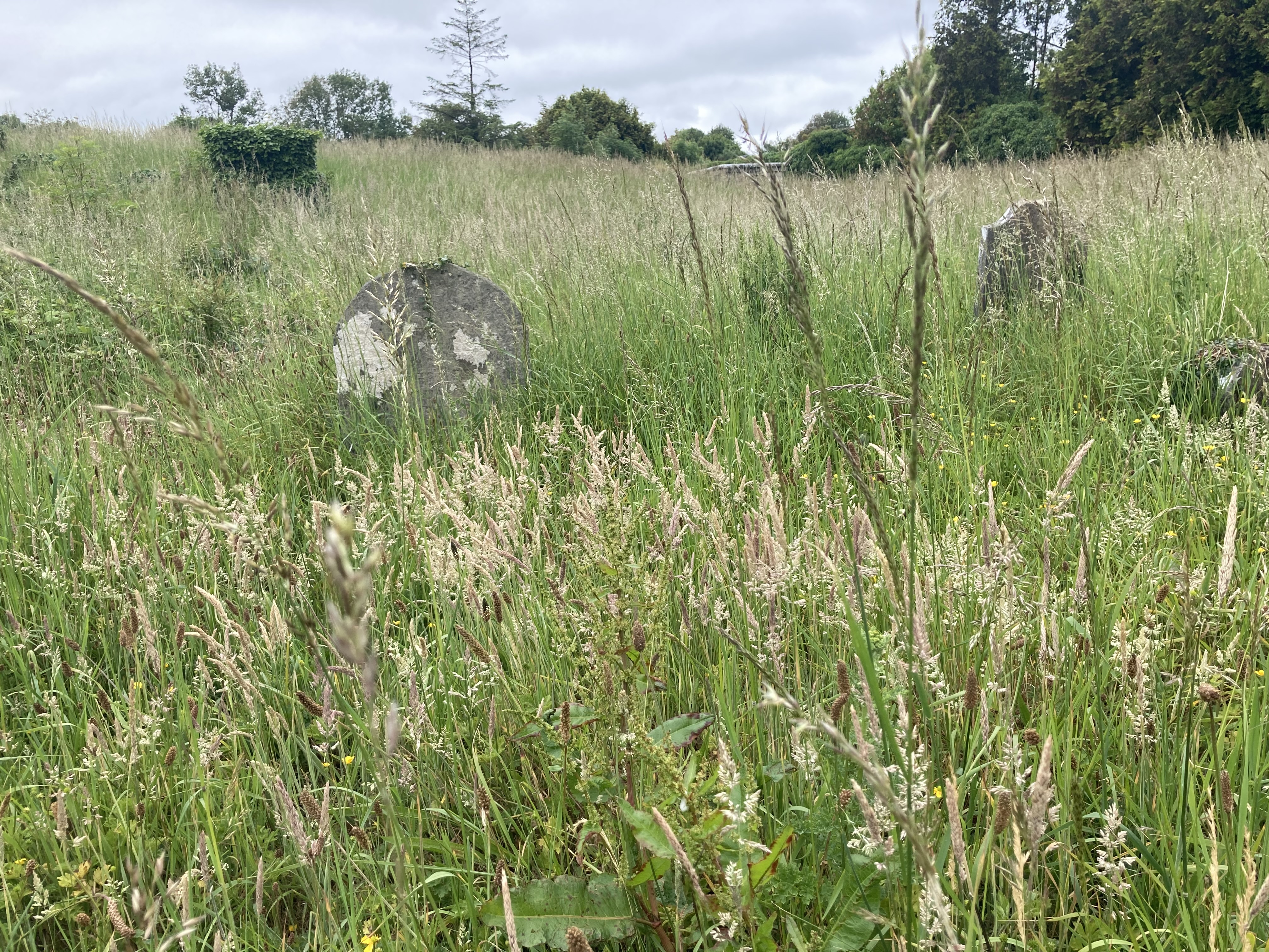 Image of old Rahoon cemetary in Galway